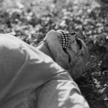 Mat Kerekes Announces Upcoming New Album 'Nova'