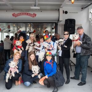 HOWLING HALLOWEEN PUP CRUISE on Circle Line on 10/26
