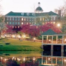 BWW Blog: How Far I'll Go