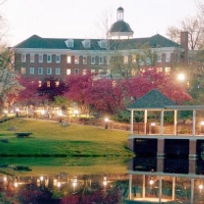 BWW Blog: How Far I'll Go