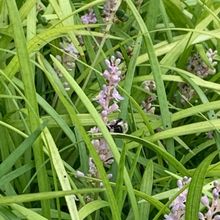 Student Blog: My Take On Academic Integrity