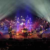 Classic Albums Live Performs The Beatles at the Center for the Arts
