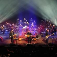 Classic Albums Live Performs The Beatles at the Center for the Arts