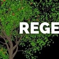 Feature: 3rd Act Theatre Company announces Season 4: REGENERATE