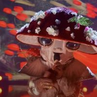 Is THE MASKED SINGER's Mushroom a Broadway Veteran?