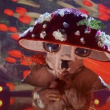 Is THE MASKED SINGER's Mushroom a Broadway Veteran?