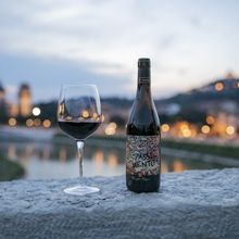 PASQUA Presents Elegant Italian Wines