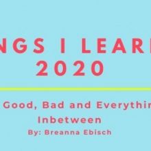 BWW Blog: 20 Things I Learned in 2020 - The Good, Bad and Everything In-Between