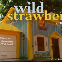 WILD STRAWBERRIES Comes to Available Light Theatre