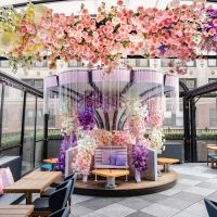 Magic Hour Rooftop Bar & Lounge for a Sparkly Rooftop Brunch