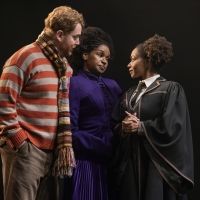 House Pride Nights to Return to HARRY POTTER AND THE CURSED CHILD