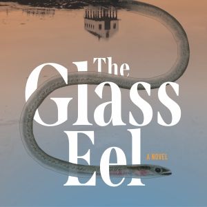 Jack Viertel To Release Debut Novel THE GLASS This Month