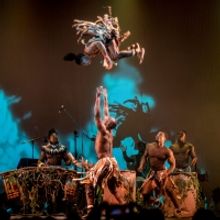 Brooklyn Academy of Music Announces 2023 BAMkids Winter and Spring Programming
