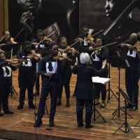 CURIOUS CREATURES AND A HEAVENLY HARP on this Month's Princeton Symphony Orchestra…