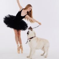 Dancers Love Dogs Returns to Artscape Opera House