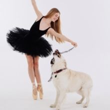 Dancers Love Dogs Returns to Artscape Opera House