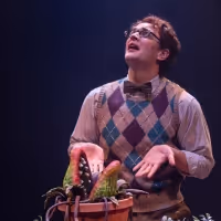 LITTLE SHOP OF HORRORS Returns To Mac-Haydn