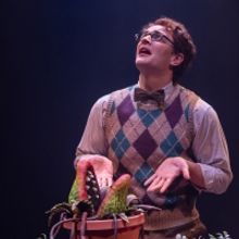 LITTLE SHOP OF HORRORS Returns To Mac-Haydn
