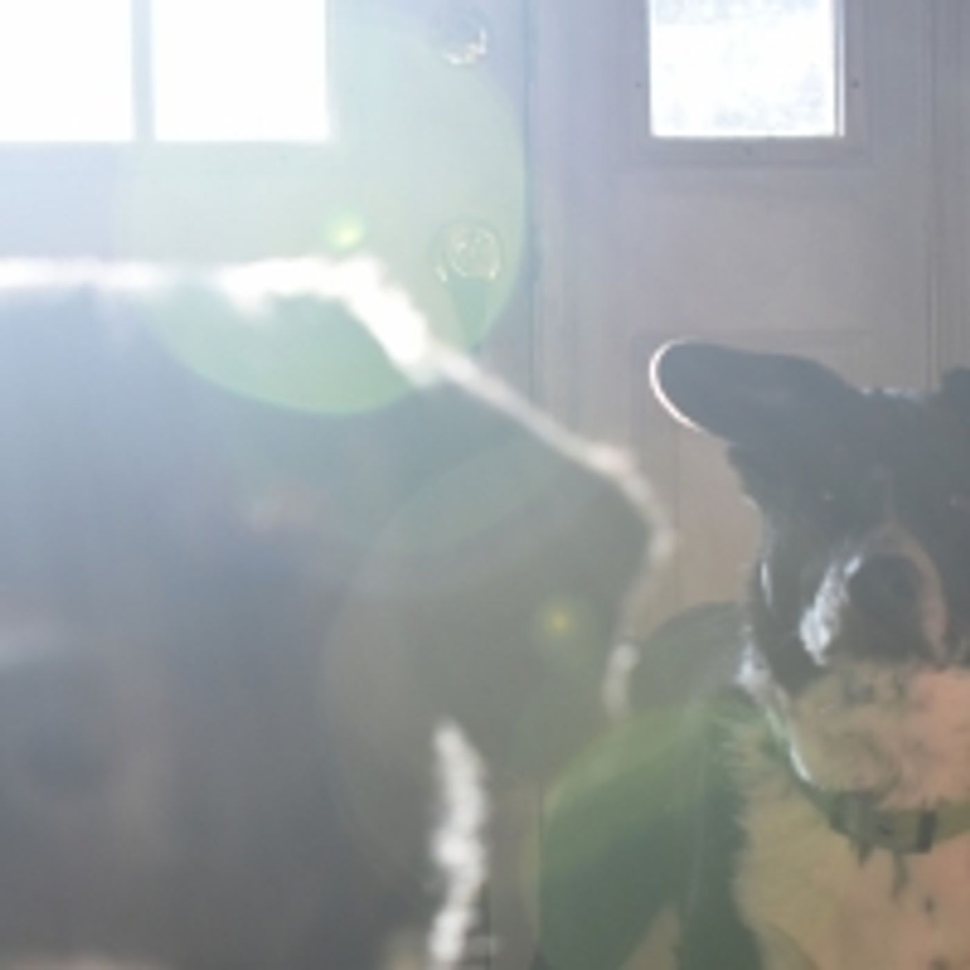 Student Blog: A New Passion on the Rise