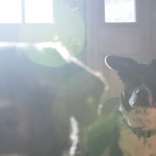 Student Blog: A New Passion on the Rise