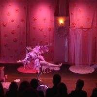 American Dance Festival Presents Sara Juli's BURN-OUT WIFE