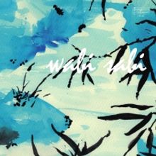 Sven Wunder Releases New Album WABI SABI Today