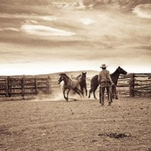 The Wittliff Collections Announces New Date For Inaugural Festival