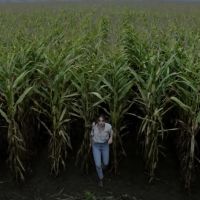 VIDEO: Check Out the First Trailer For Stephen King's THE STAND Series