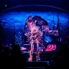 Exclusive: How THE MASKED SINGER Helped Coral Gain Confidence as a Performer