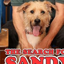 Video: Goodspeed Musicals Introduces Sandy for ANNIE's 50th Anniversary Production