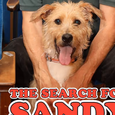 Video: Goodspeed Musicals Introduces Sandy for ANNIE's 50th Anniversary Production