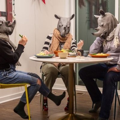 Ann Arbor Civic Theatre  to Stage Absurdist Classic RHINOCEROS This Spring