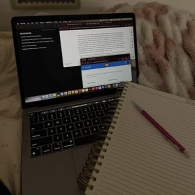 Student Blog: Seeing the Bigger Picture