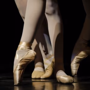 BroadwayWorld's East Coast Summer 2023 Classical Arts Top Picks