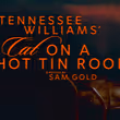 Sam Gold Will Direct CAT ON A HOT TIN ROOF Revival on Broadway Photo