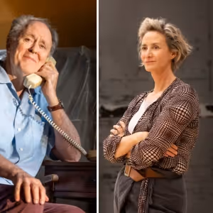 All of the Theater Stars in HBO's HARRY POTTER TV Series
