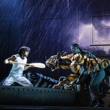 Review: LIFE OF PI at the Eccles Theater is an Evocative Exploration
