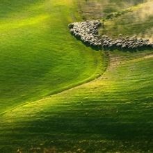 Traditional Italian Christmas Music Brightens December At Tafelmusik