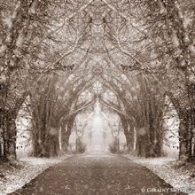 Teatro Paraguas to Present IN THE SWIRL, A Group Poetry Reading