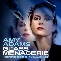 Save Up To 41% on THE GLASS MENAGERIE Starring Amy Adams