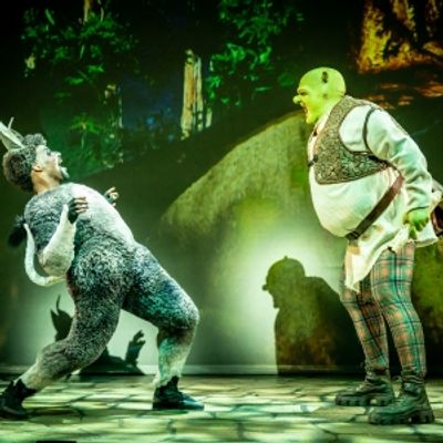 Photos/Video: First Look at SHREK THE MUSICAL UK Tour