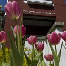 Single Tickets to Go On Sale in May for Westport Country Playhouse 2021 All-Virtual S