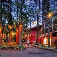 Peninsula Players Theatre Announces Ticket Sales for 85th Season