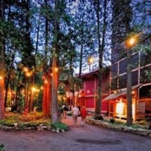 Peninsula Players Theatre Announces Ticket Sales for 85th Season