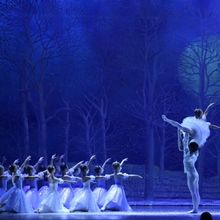 New Jersey Ballet's NUTCRACKER Nutcracker Dances Into MPAC Beginning This Month