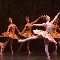 VIDEO: First Look at The National Ballet of Canada's THE SLEEPING BEAUTY at the…