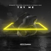 Alok's Label CONTROVERSIA Releases New Single 'Try Me'