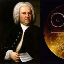 Virtual Celebration of the 300th Anniversary of Bach's Brandenburg Concertos Announce