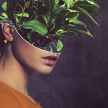 Review: SAP, Summerhall