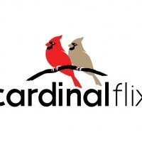 Sarah T. Schwab and Brian Long Launch Cardinal Flix, An Independent Film Production…